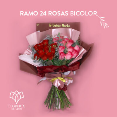 Ramo de 24 rosas rojas y fucsia